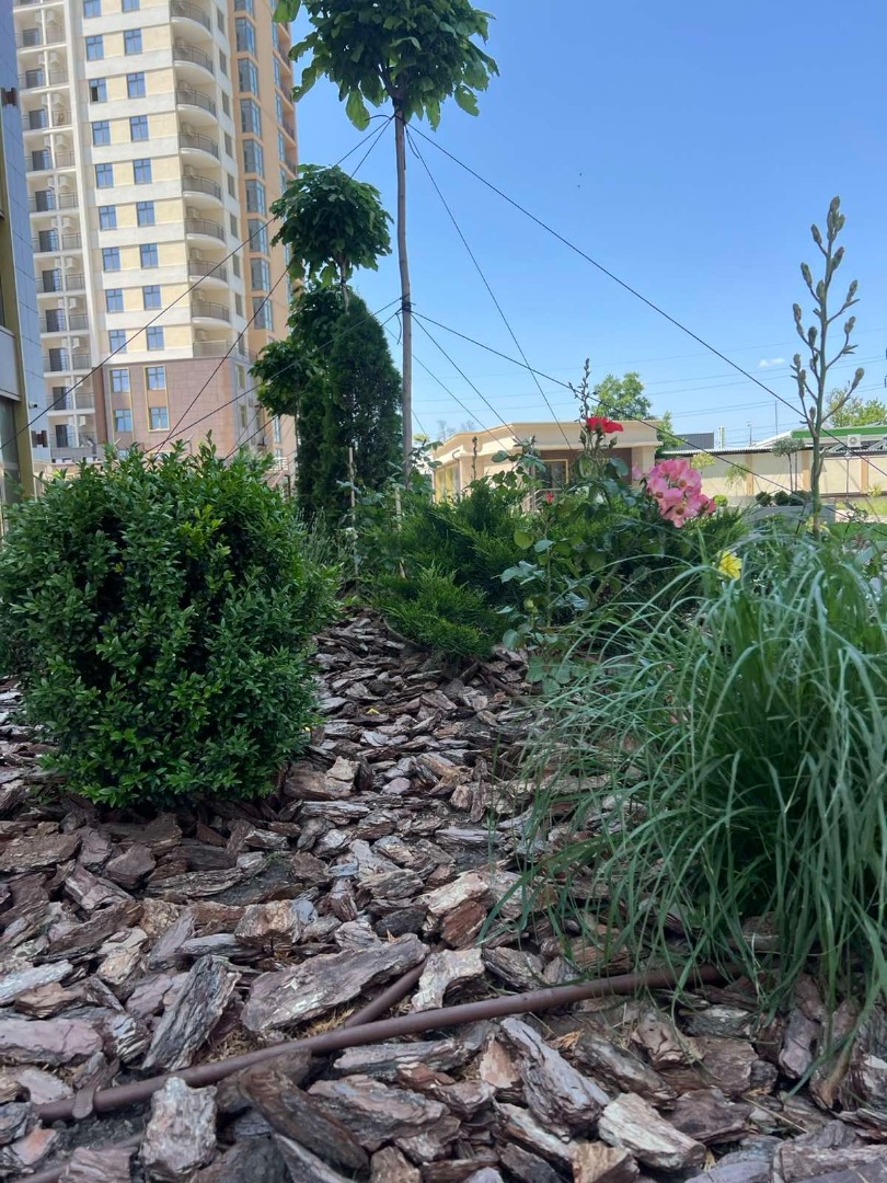 аренда помещения номер C-174109 в Приморском районе, фото номер 19